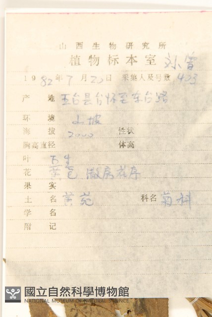 黃菀藏品圖，第2張