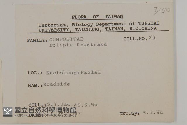 地膽草、毛蓮菜藏品圖，第2張