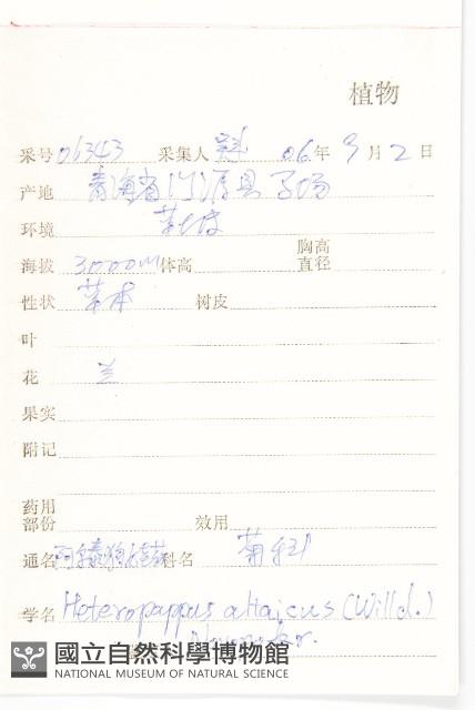 阿爾泰狗哇花藏品圖，第2張