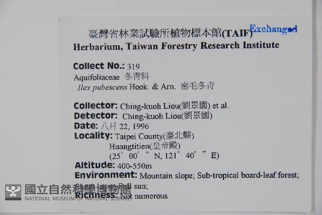 密毛假黃楊藏品圖，第2張