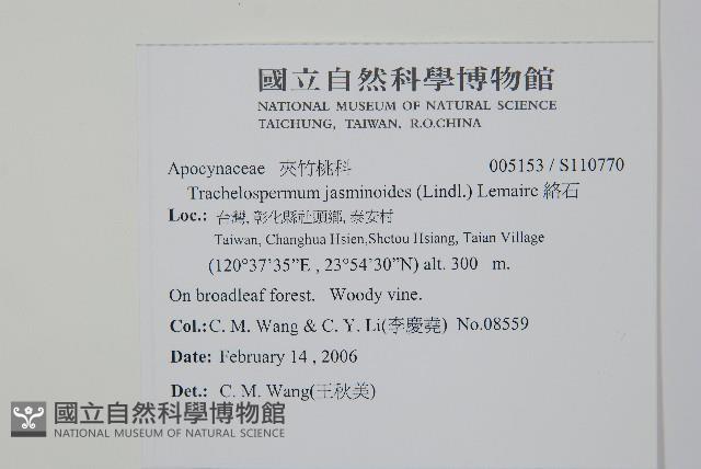 絡石藏品圖，第2張