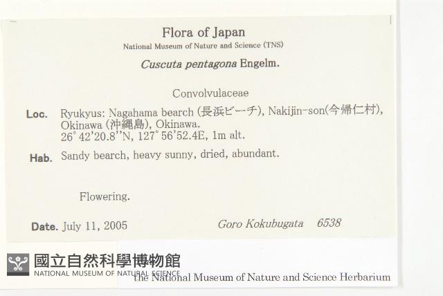 登錄號:S130770藏品圖，第2張