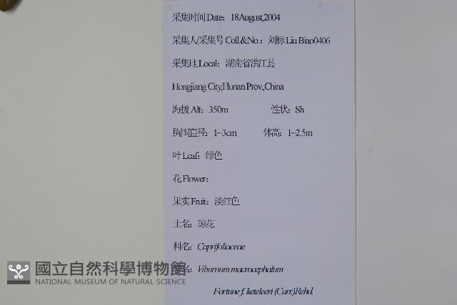 登錄號:S111770藏品圖，第2張