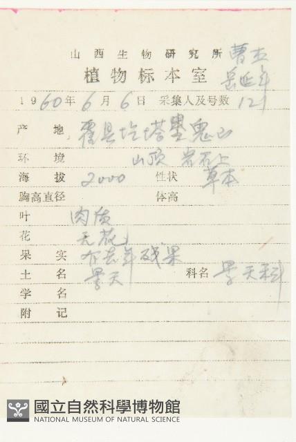 登錄號:S035770藏品圖，第2張