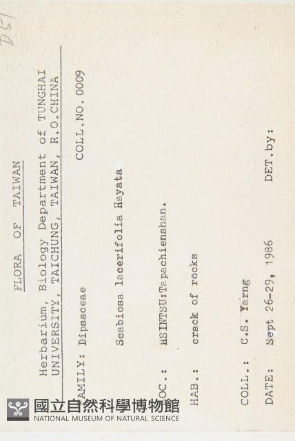 玉山山蘿蔔藏品圖，第2張