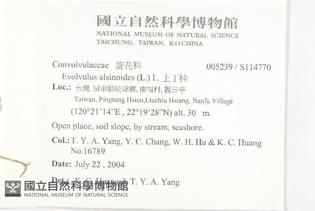 土丁桂藏品圖，第2張