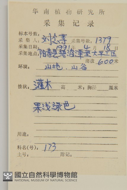 大丁黃藏品圖，第2張
