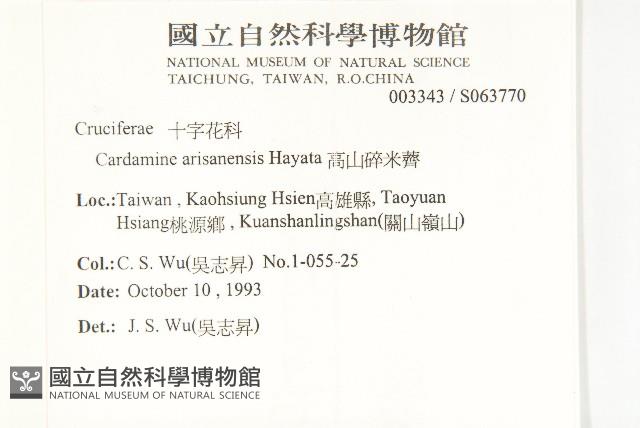 玉山筷子芥藏品圖，第2張