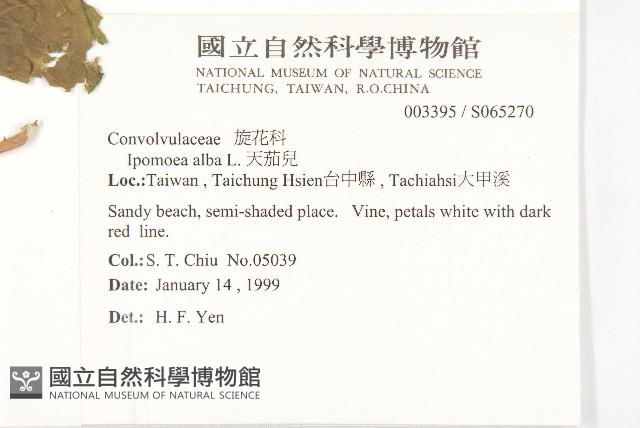 天茄兒藏品圖，第2張