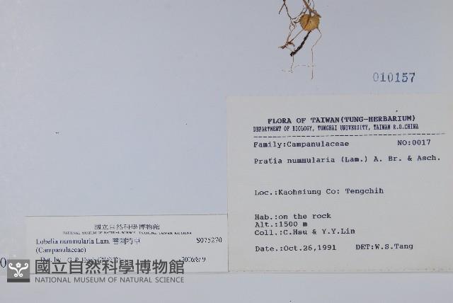 普刺特草藏品圖，第2張