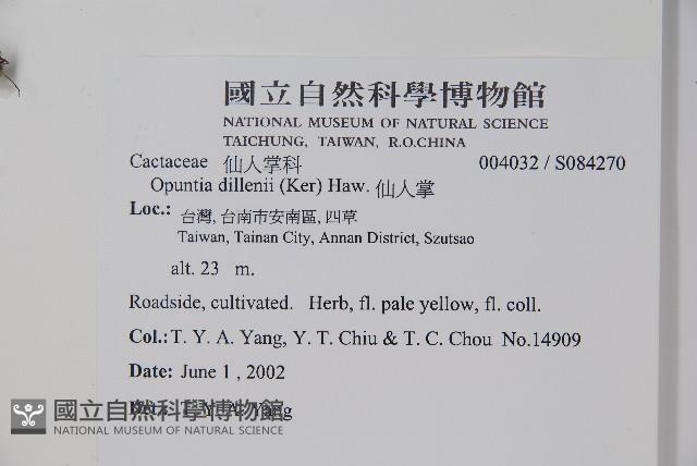 仙人掌藏品圖，第2張