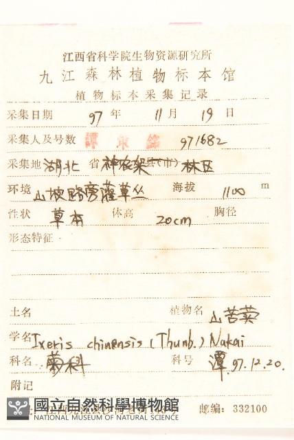 兔仔菜藏品圖，第2張