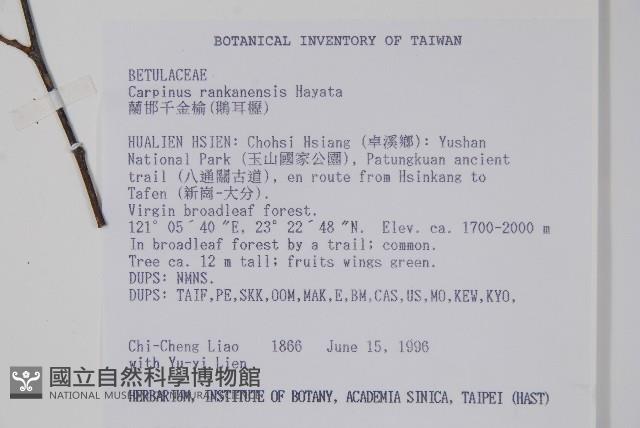 蘭邯千金榆藏品圖，第2張