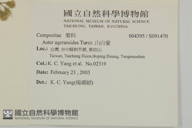 山白蘭藏品圖，第2張