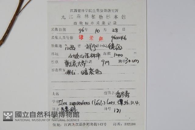 香冬青藏品圖，第2張