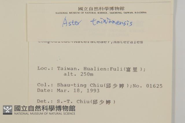 臺灣馬蘭藏品圖，第2張