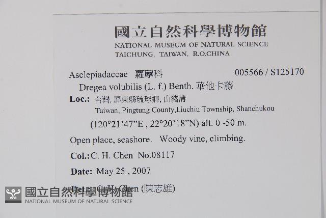 華他卡藤藏品圖，第2張