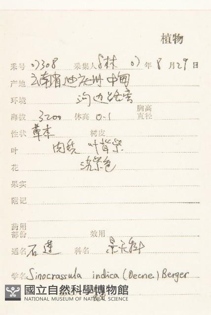 石蓮藏品圖，第2張