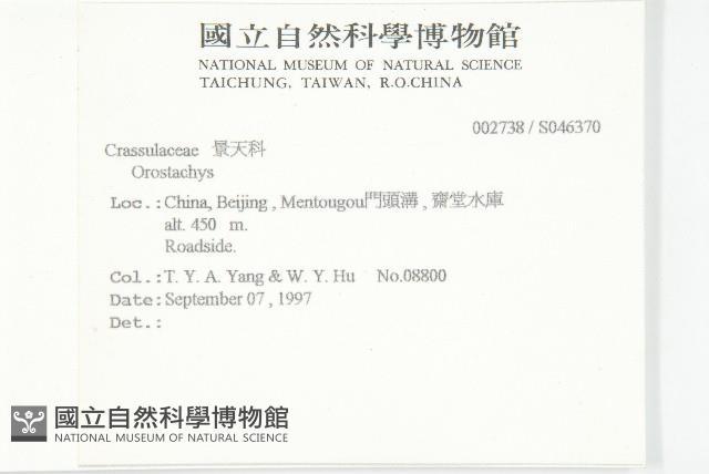 登錄號:S046370藏品圖，第2張