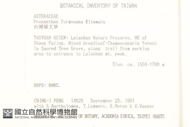 臺灣福王草藏品圖，第2張