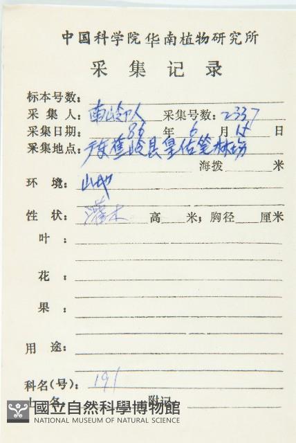 藤胡頹子藏品圖，第2張