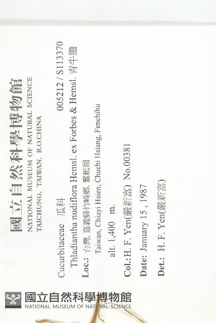 青牛膽藏品圖，第2張