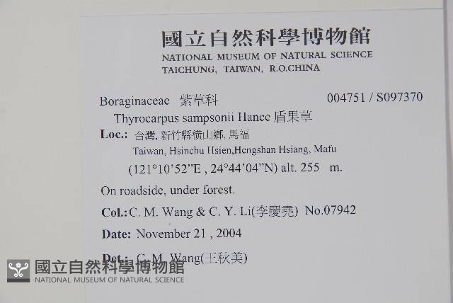 盾果草藏品圖，第2張