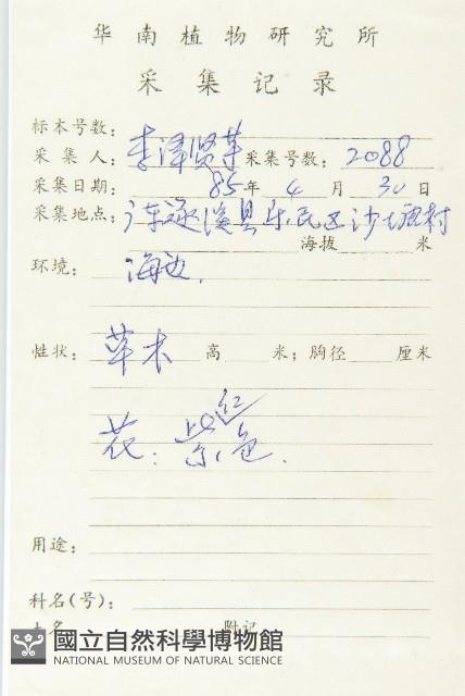 金錢草、錦地羅藏品圖，第2張