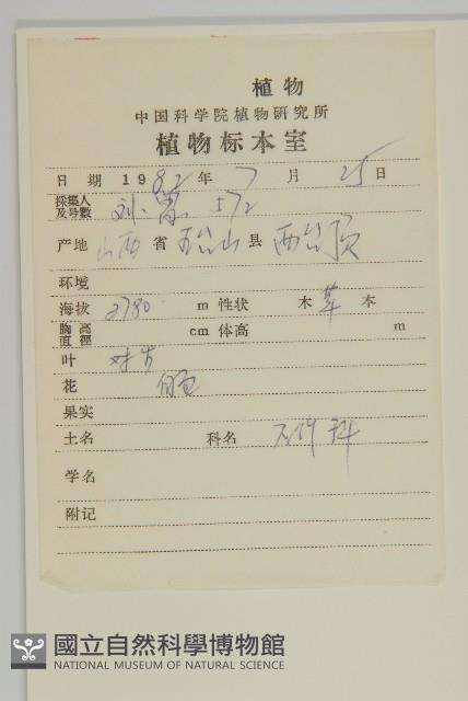 卷耳藏品圖，第2張