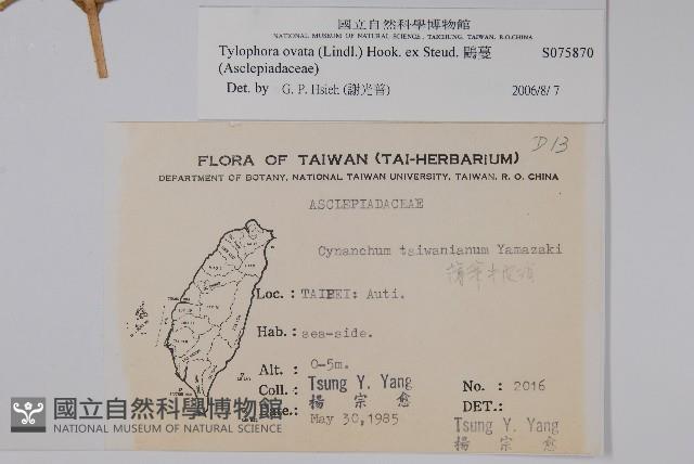 鷗蔓藏品圖，第2張