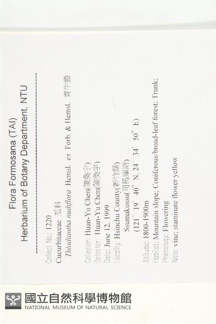 青牛膽藏品圖，第2張