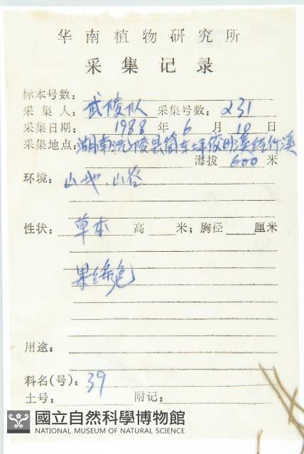 葶藶藏品圖，第2張