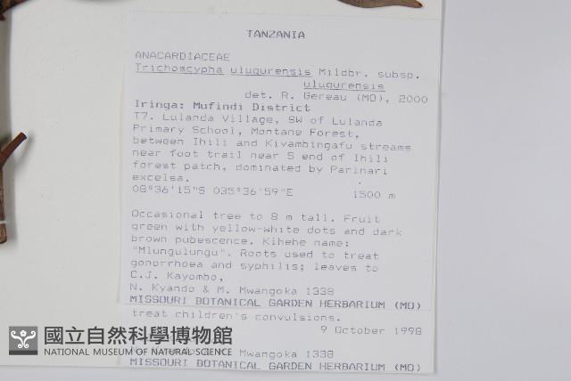 登錄號:S100570藏品圖，第2張