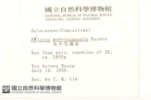 玉山毛蓮菜藏品圖，第2張