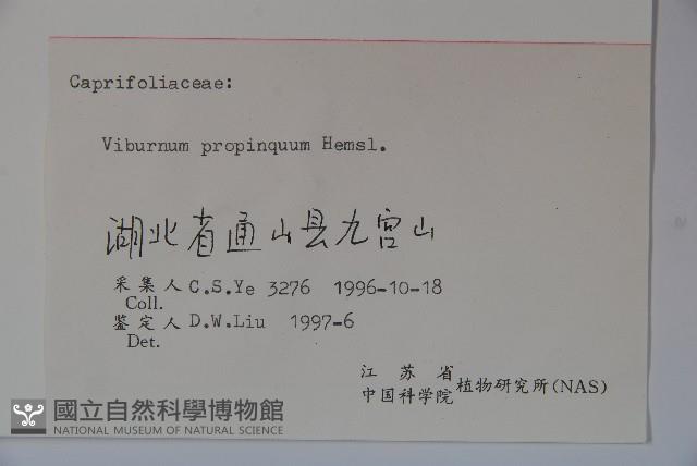 高山莢迷藏品圖，第2張