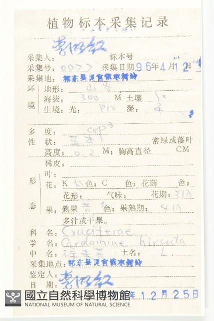 碎米薺藏品圖，第2張