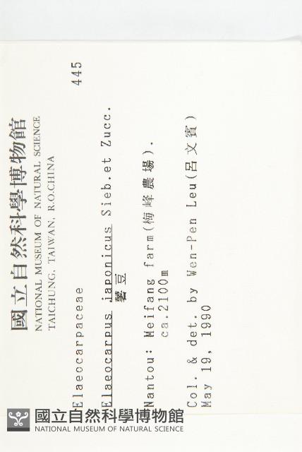 薯豆藏品圖，第2張