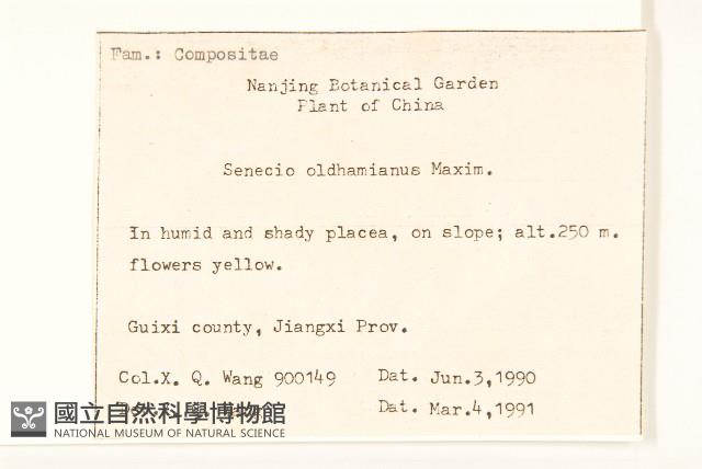 蒲兒根藏品圖，第2張