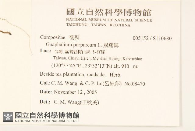 鼠麴舅藏品圖，第2張