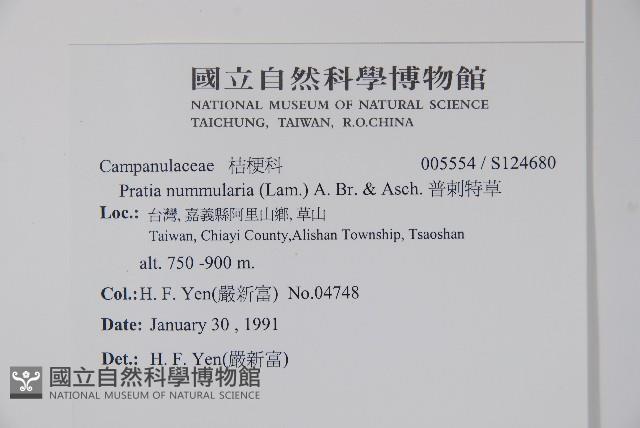 普剌特草藏品圖，第2張