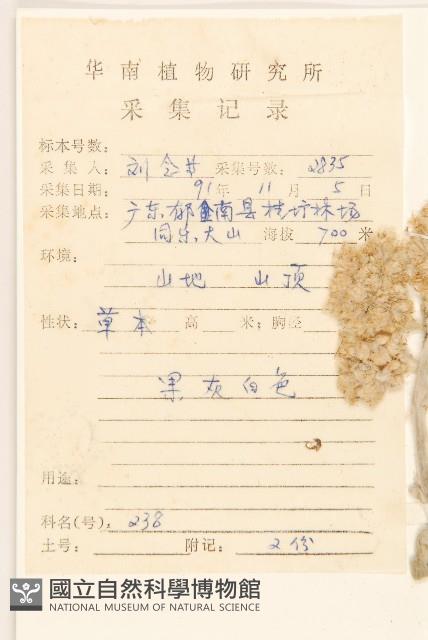 紅面番藏品圖，第2張