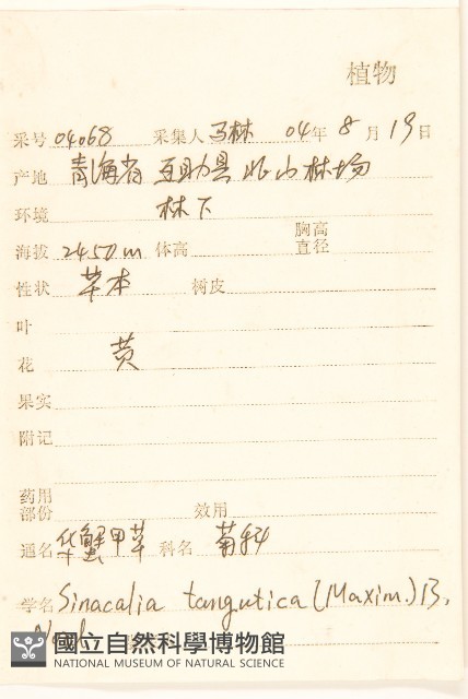 華蟹甲草藏品圖，第2張