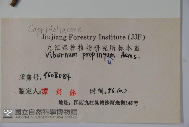 高山莢迷藏品圖，第2張