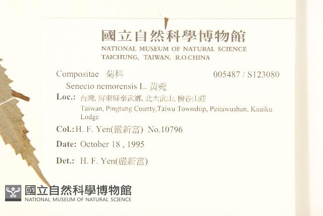 黃菀藏品圖，第2張