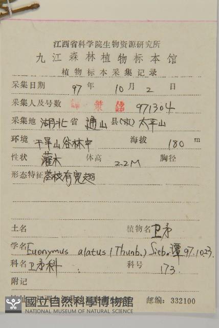 衛矛藏品圖，第2張