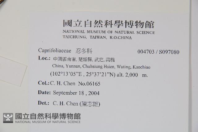 登錄號:S097080藏品圖，第2張