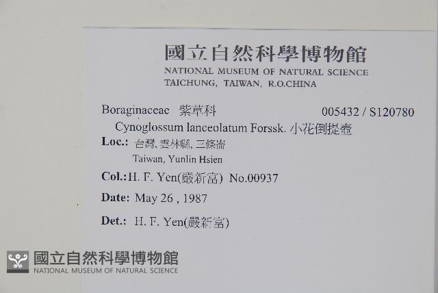 小花倒提壺藏品圖，第2張