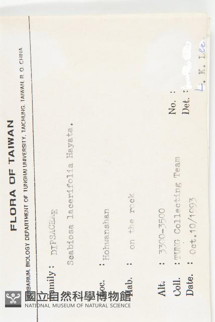 玉山山蘿蔔藏品圖，第2張