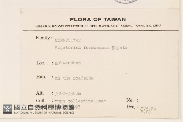 臺灣澤蘭藏品圖，第2張