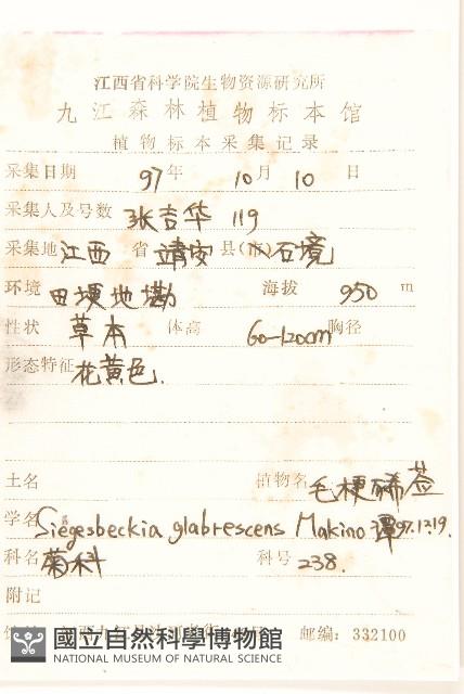 毛梗豨薟藏品圖，第2張